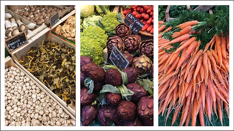 מזהים מה זה?, צילום לירון סימסולו דגן