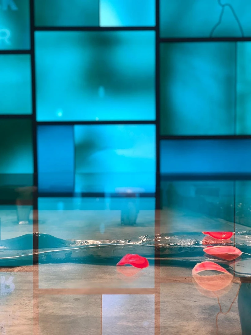 מזהים מה זה?, צילום לירון סימסולו דגן