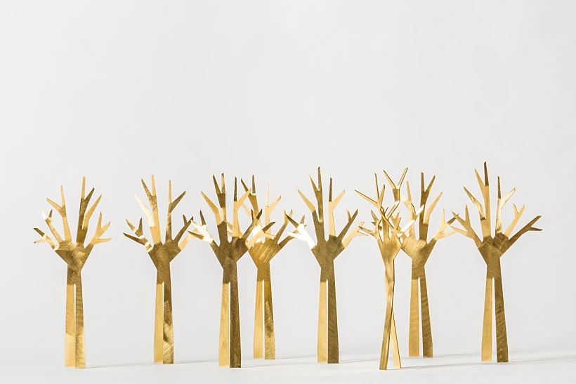 זום על חומוס, לירון צנחני ואנה שפירא