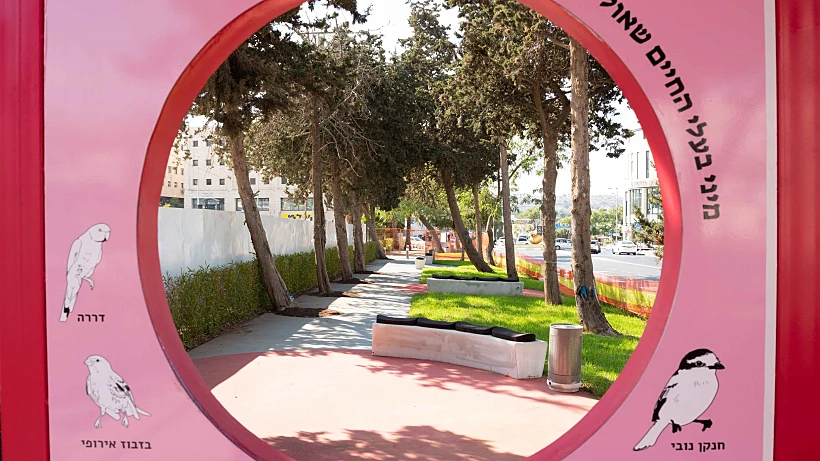 פרויקט התחדשות, רחוב פייר קניג (צילום דניאל רחמים)