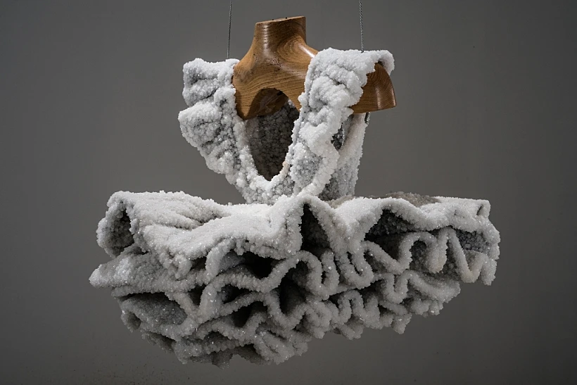 מתוך הפסטיבל