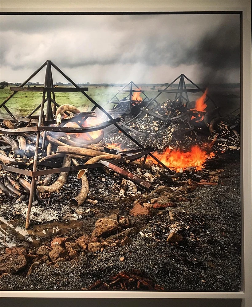 Lithium Mines #1, Salt Flats, Atacama Desert, Chile, by Edward Burtynsky