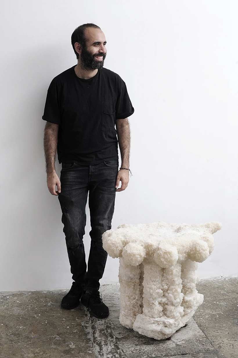 ארז נבי פאנה