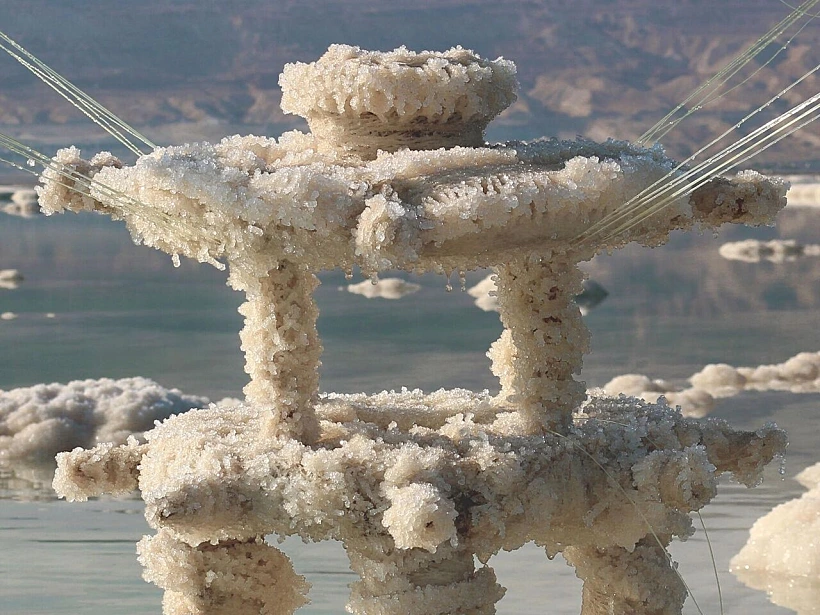 הפרויקט בתהליך, ארז נבי פאנה