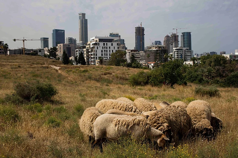 טבע פראי בפארק הירקון