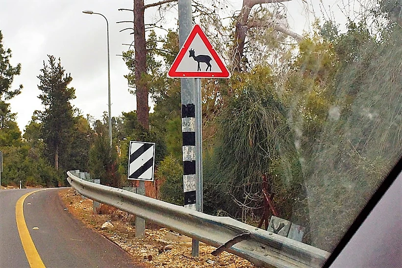 השראה מהסביבה הקרובה, גורדוניה