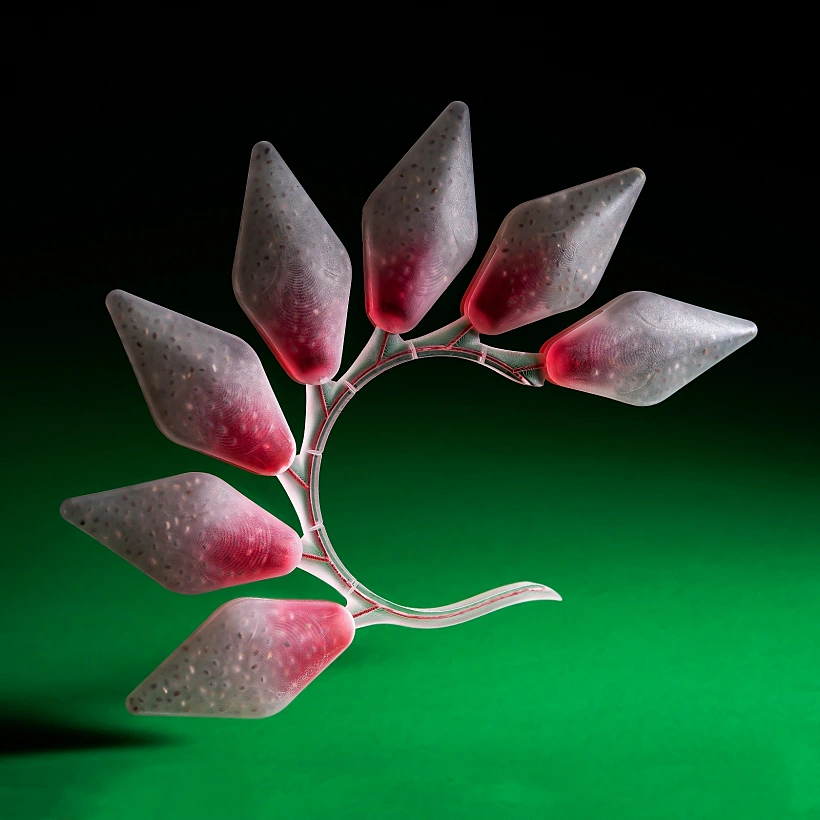 זיכרון קולקטיבי, מידן לוי