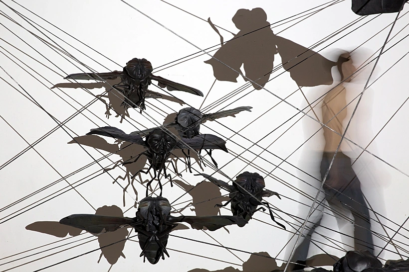 רן סלפק, נחיל