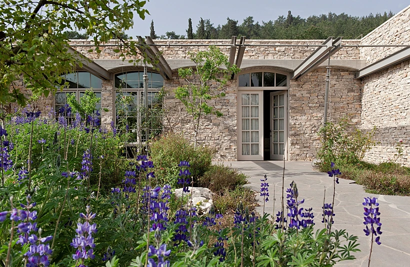 תכנון הוליסטי