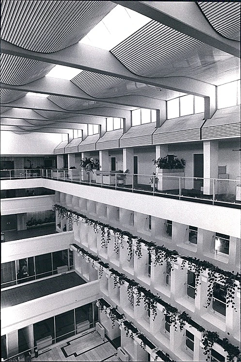 בנק ישראל עם אלדר שרון