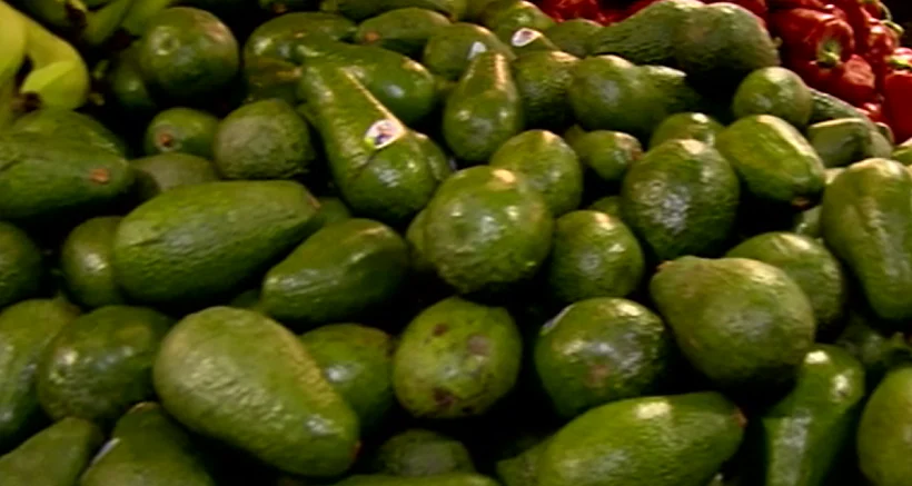 אבוקדו בשוק