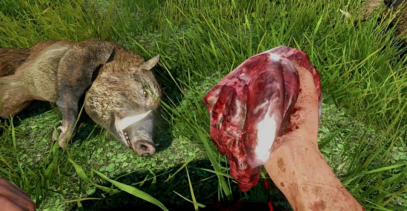 תמונה מהמשחק