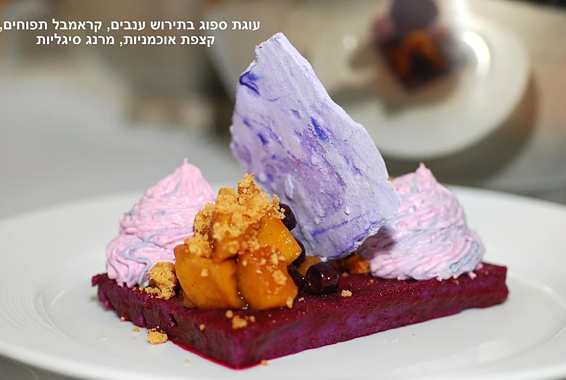 יניב גור אריה