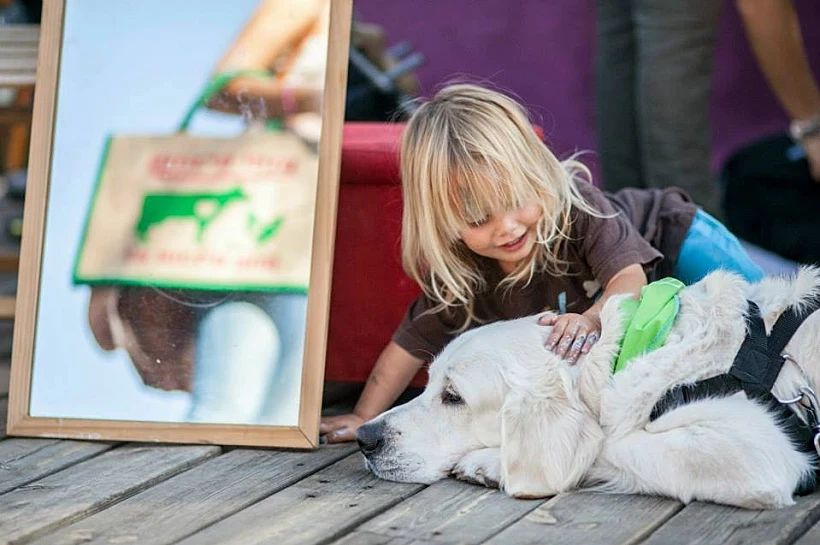 פסטיבל הטבעונות