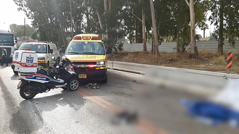 זירת התאונה הקטלנית בכביש 444