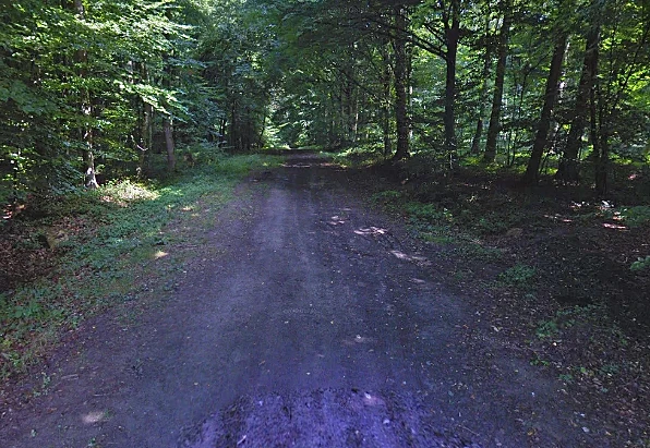 יער סנט פייר אייגל שבצרפת