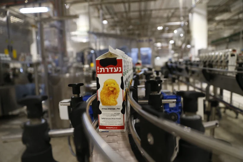 קרטון חלב ועליו נולי מפרפר נחמד