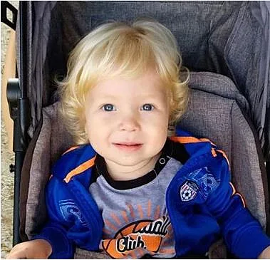 הפעוט אריה גורשוב