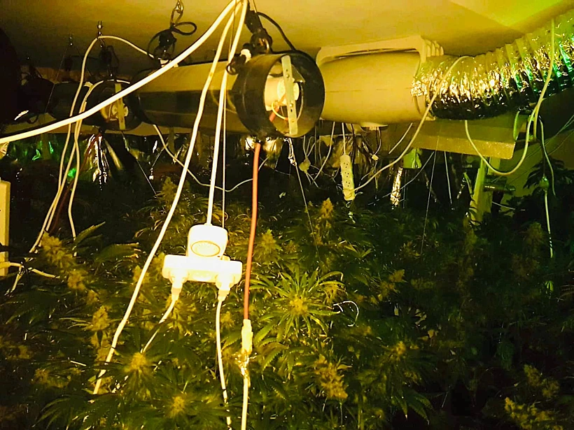 המעבדה לייצור סמים שנחשפה בדירה בעפולה