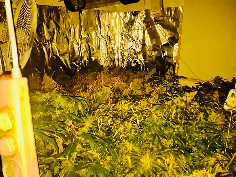 המעבדה לייצור סמים שנחשפה בדירה בעפולה