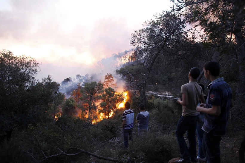נערים צופים בלהבות השריפה בכרמל