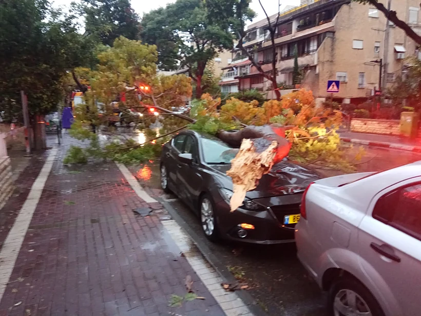 נזקי הסערה בקריית ביאליק