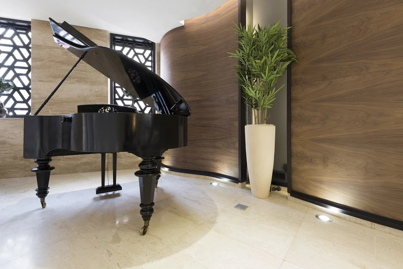 פסנתר כנף בלובי בניין