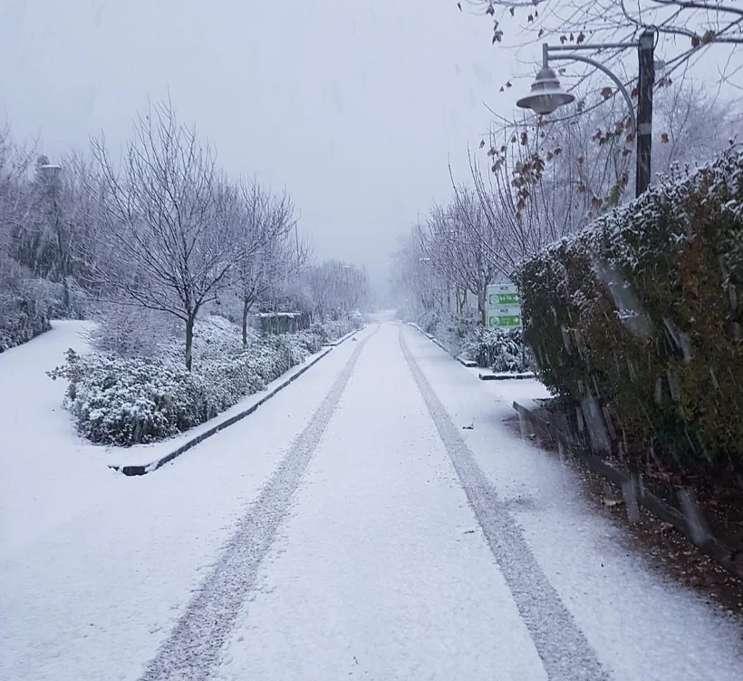 Whatsapp Image 2020 01 04 At 0