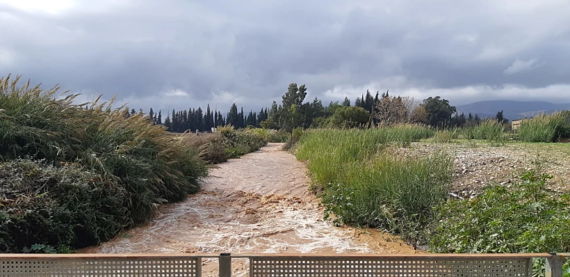נחל דישון זורם בעמק החולה