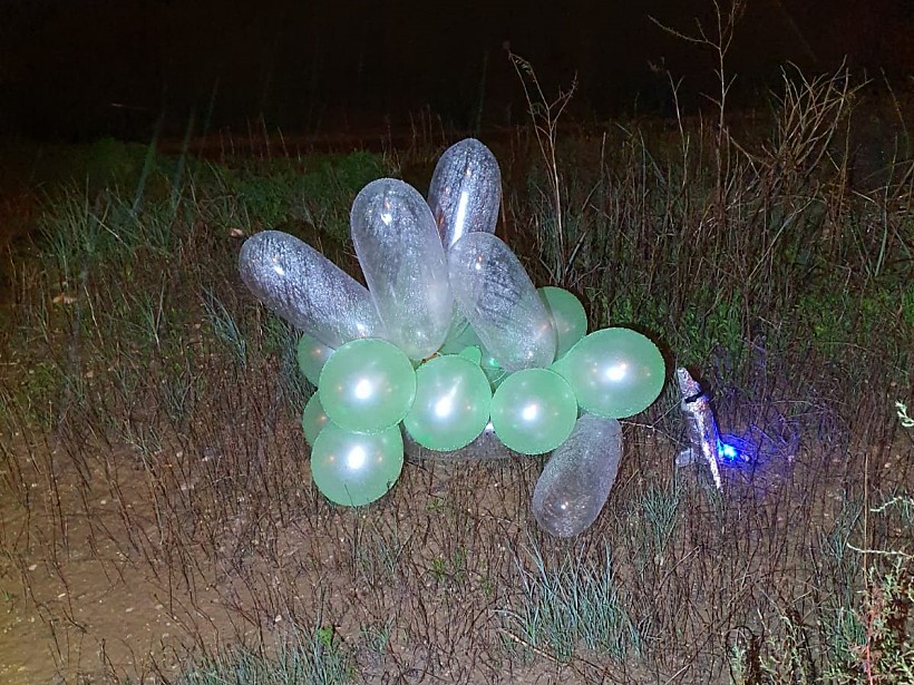 צרור בלונים סמוך לנתיבות