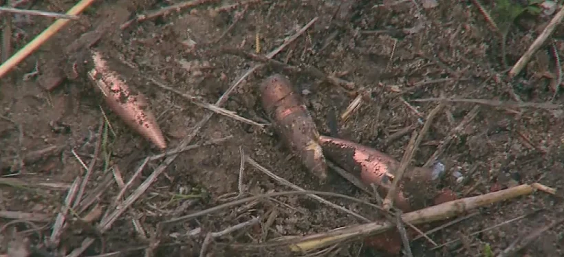 הקליעים שנורו