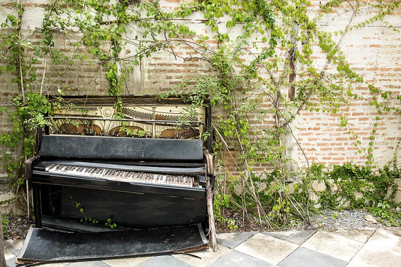 Shutterstock 323924219 1