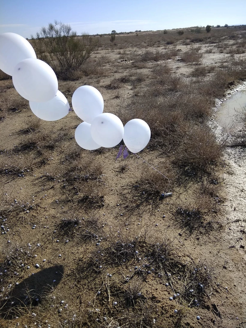 Whatsapp Image 2020 01 25 At 1