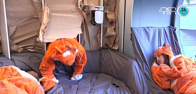 חתולי הרחוב בנסט