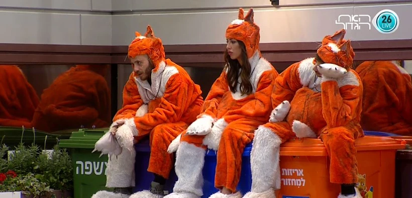 חתולים על גג פח לוהט