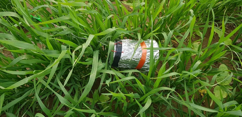 החפץ החשוד המחובר לבלונים