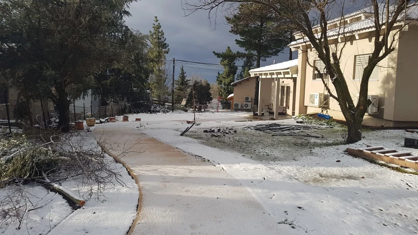 שלג בצפון הארץ