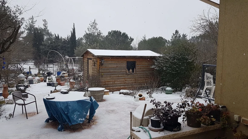 שלג באל-רום