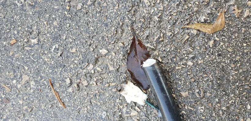 Whatsapp Image 2020 02 11 At 0