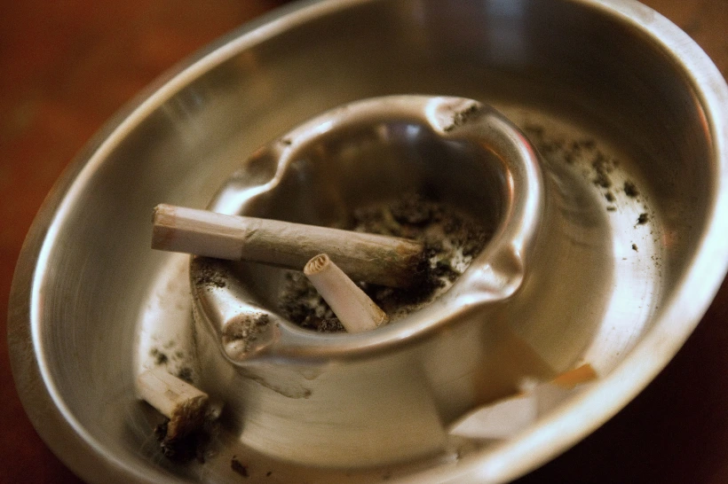 To Match Story Dutch Cannabis/