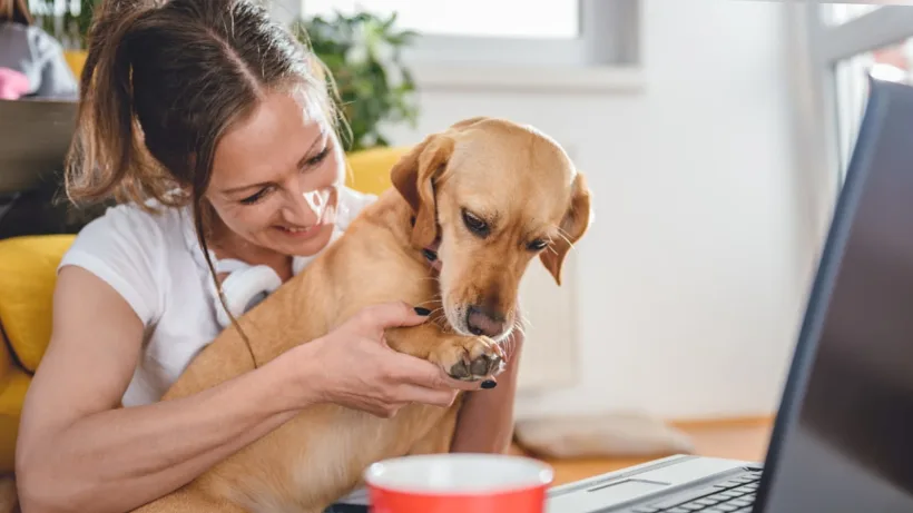 בוא חמודי, תגיד שלום כולם