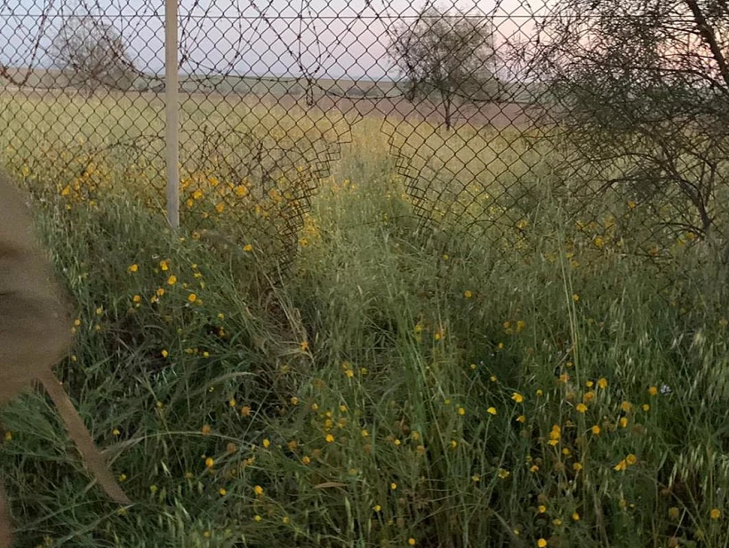 חשוד חדר לבסיס צה''ל במשמר הנגב ודקר שני חיילים