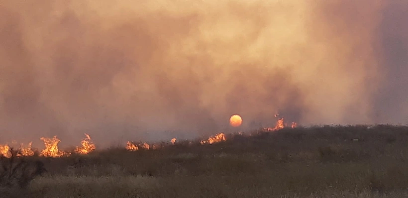 שריפה בנחל שילה