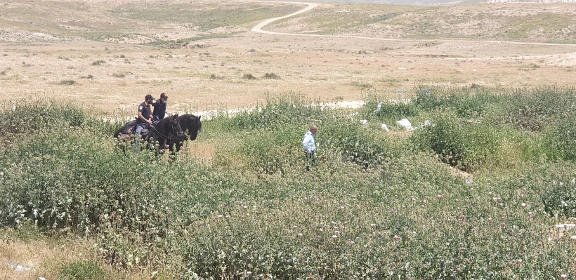 חיפושים אחר הגופה של נבין אל-עמרני