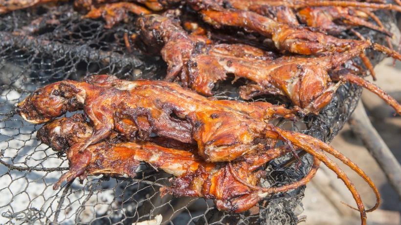 חולדות על האש