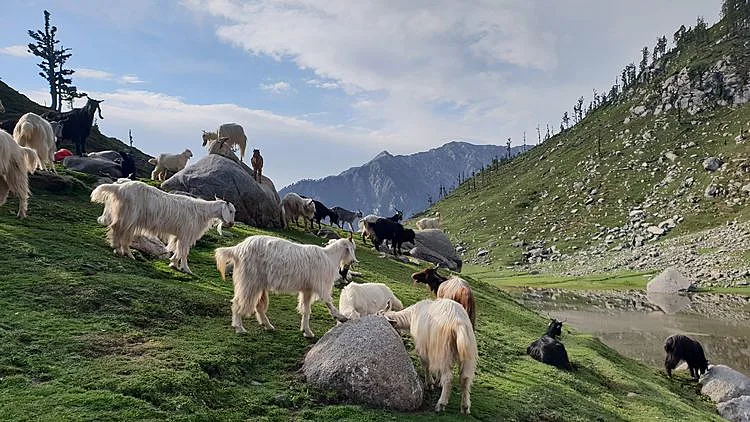 הטרק אל אגם קרארי - Kareri Lake. צילום - כרמל קמין