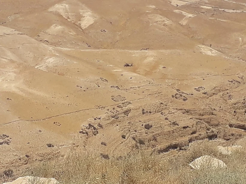 מטיילת מתה ממכת חום בוואדי קלט