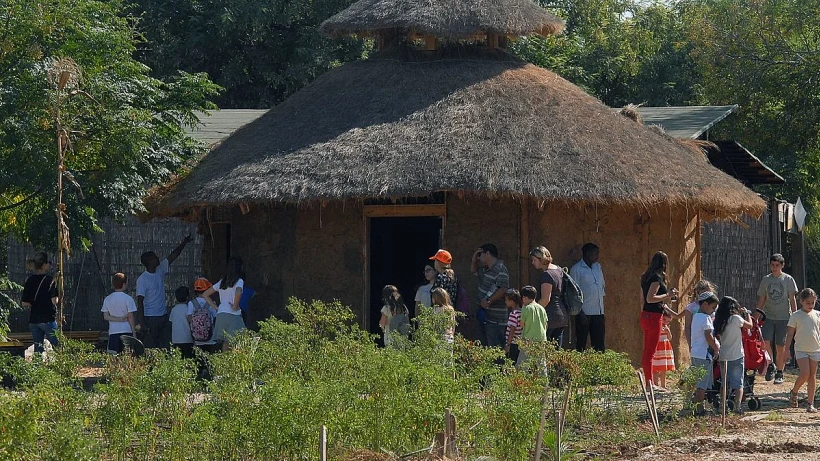כפר ביתא ישראל