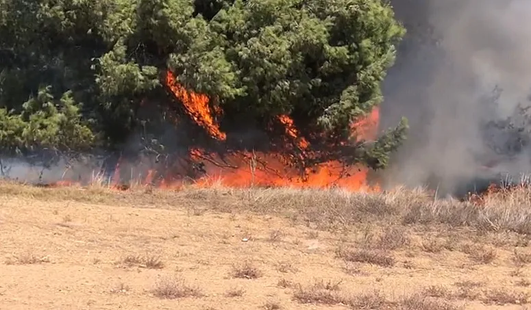 בלוני תבערה בדרום