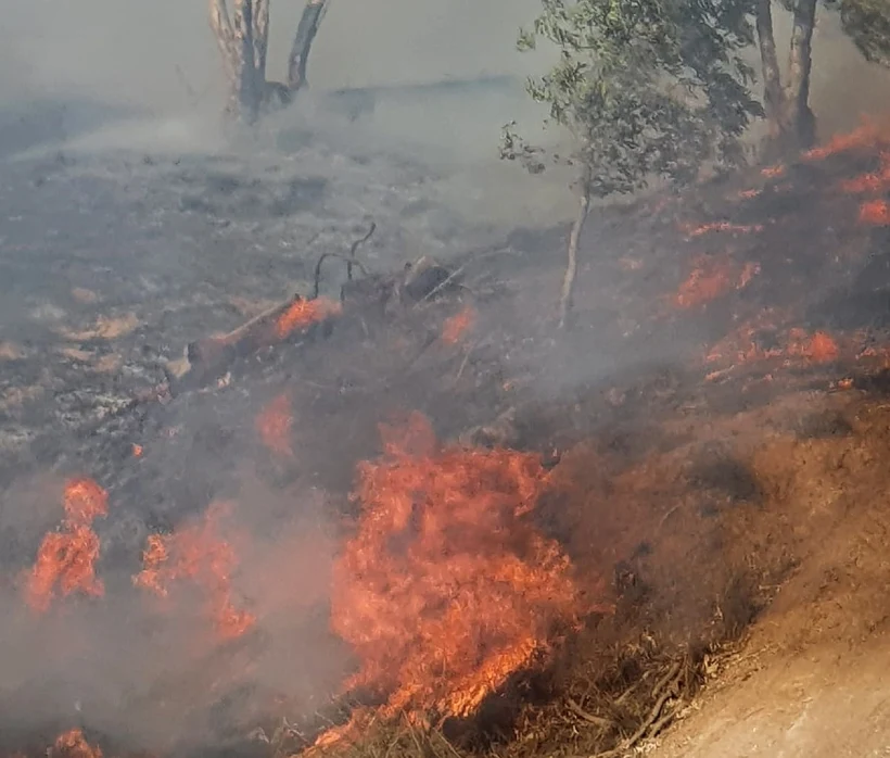 שריפות בעוטף עזה כתוצאה מבלוני תבערה
